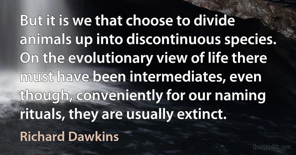 But it is we that choose to divide animals up into discontinuous species. On the evolutionary view of life there must have been intermediates, even though, conveniently for our naming rituals, they are usually extinct. (Richard Dawkins)