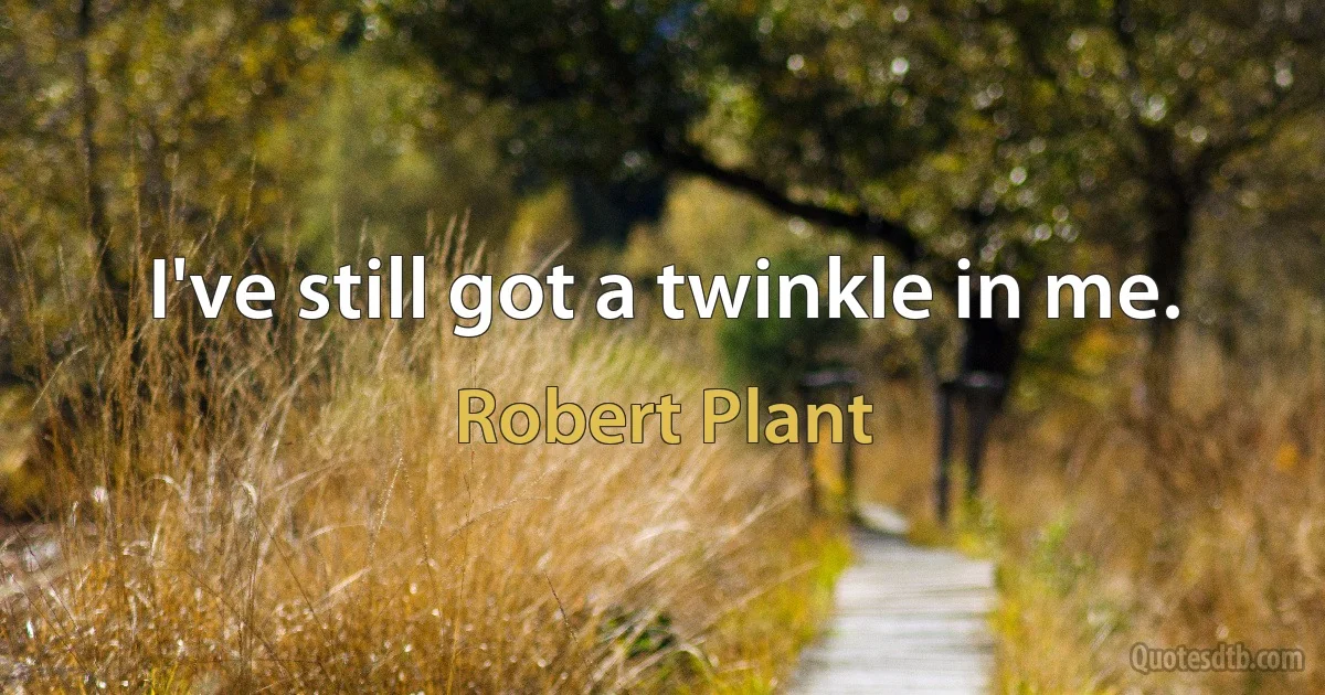 I've still got a twinkle in me. (Robert Plant)