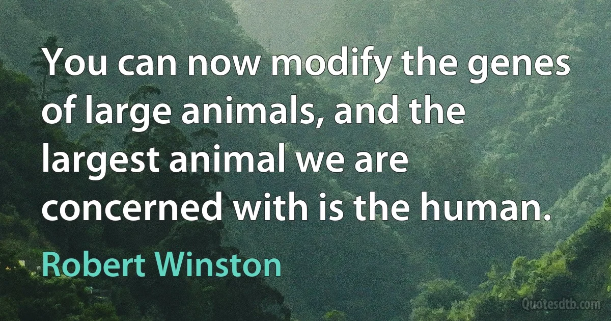 You can now modify the genes of large animals, and the largest animal we are concerned with is the human. (Robert Winston)