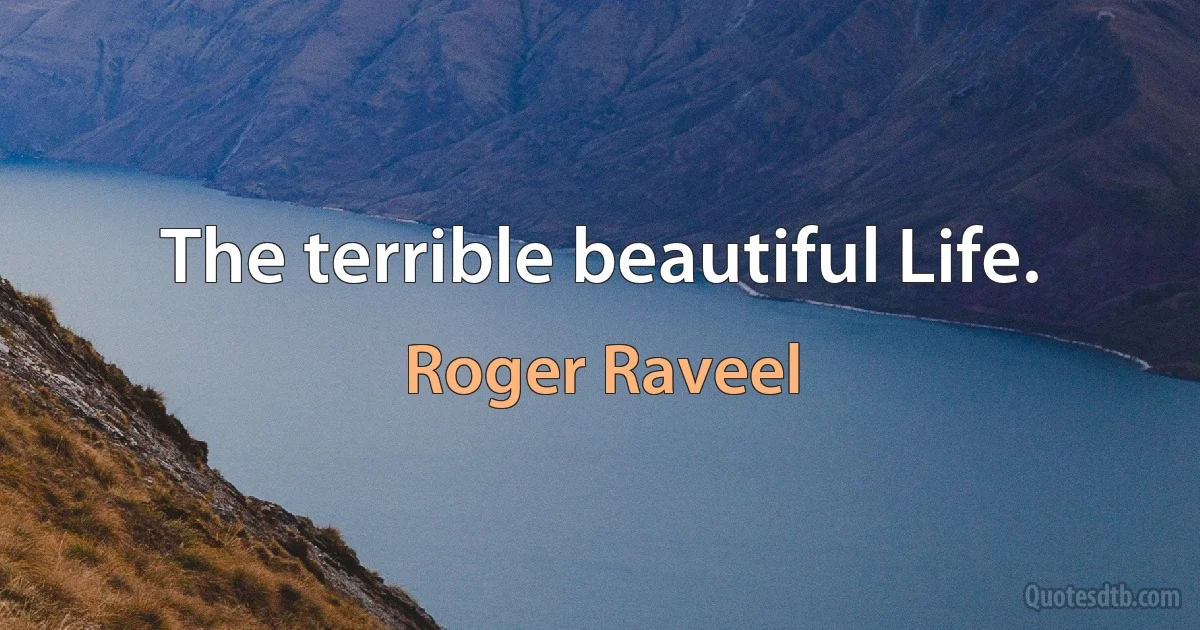 The terrible beautiful Life. (Roger Raveel)