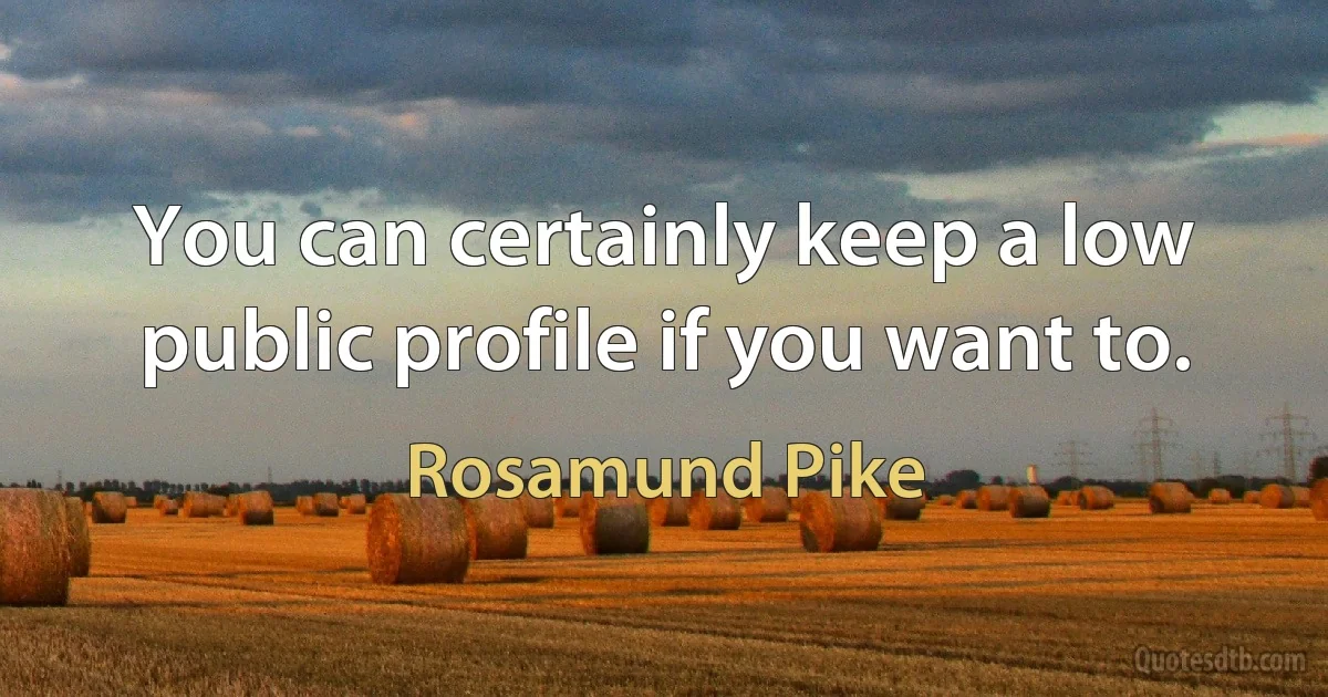 You can certainly keep a low public profile if you want to. (Rosamund Pike)