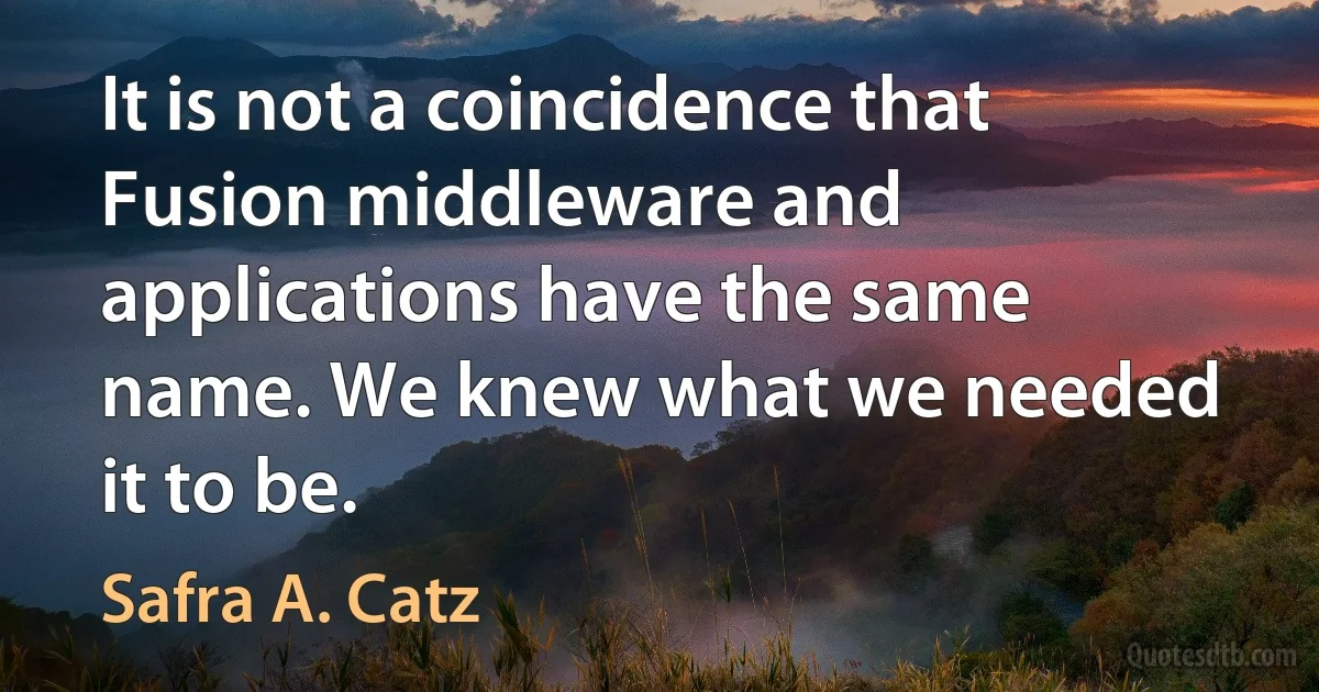 It is not a coincidence that Fusion middleware and applications have the same name. We knew what we needed it to be. (Safra A. Catz)