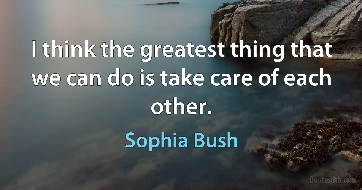 I think the greatest thing that we can do is take care of each other. (Sophia Bush)