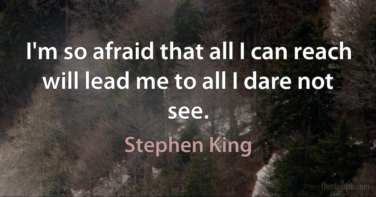 I'm so afraid that all I can reach will lead me to all I dare not see. (Stephen King)