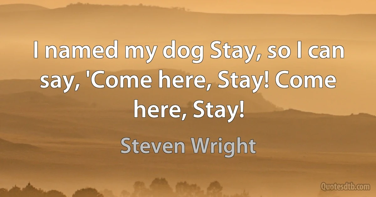 I named my dog Stay, so I can say, 'Come here, Stay! Come here, Stay! (Steven Wright)