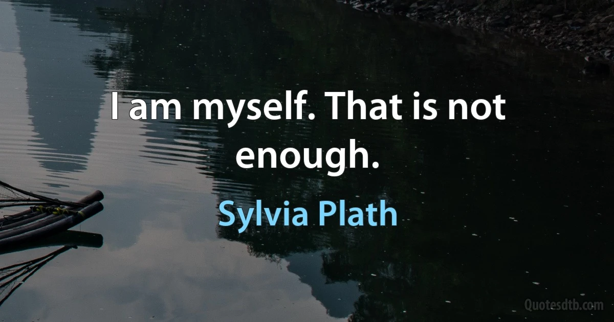 I am myself. That is not enough. (Sylvia Plath)