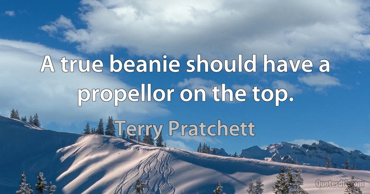 A true beanie should have a propellor on the top. (Terry Pratchett)