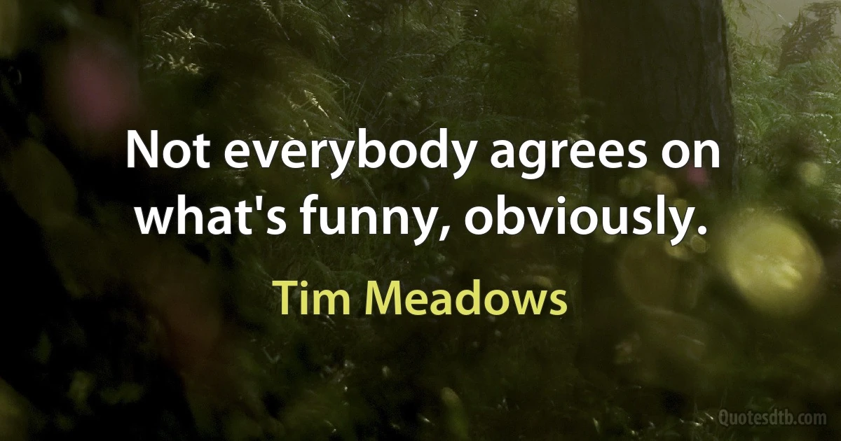 Not everybody agrees on what's funny, obviously. (Tim Meadows)