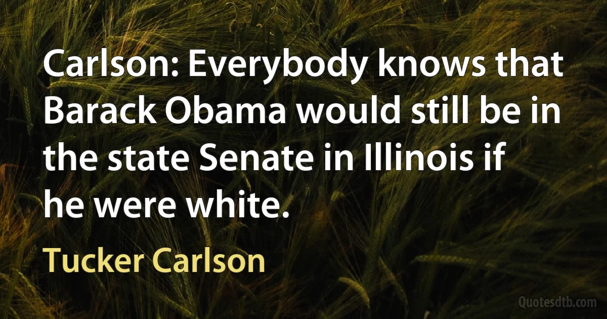 Carlson: Everybody knows that Barack Obama would still be in the state Senate in Illinois if he were white. (Tucker Carlson)