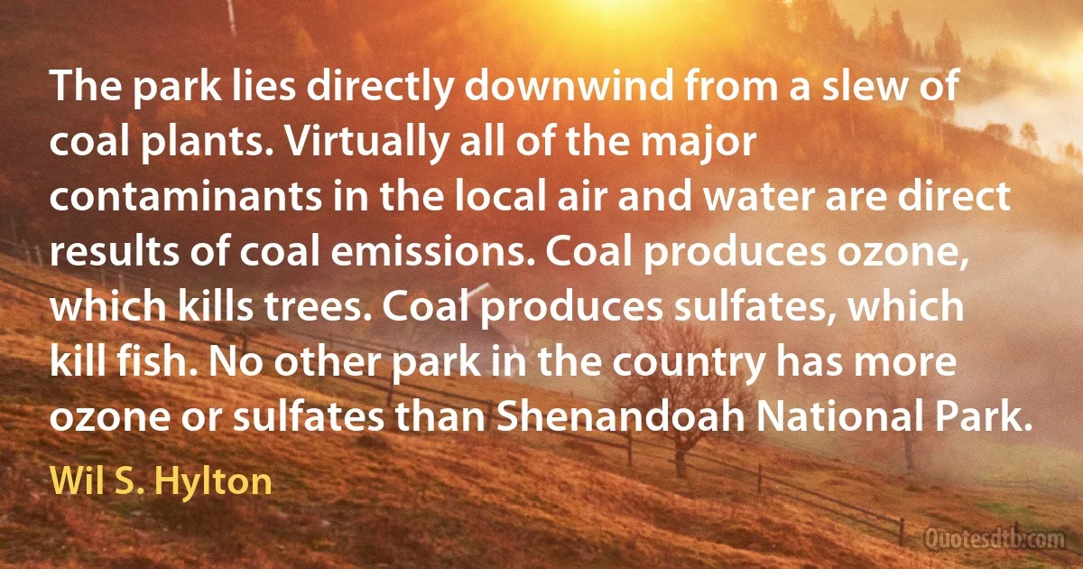 The park lies directly downwind from a slew of coal plants. Virtually all of the major contaminants in the local air and water are direct results of coal emissions. Coal produces ozone, which kills trees. Coal produces sulfates, which kill fish. No other park in the country has more ozone or sulfates than Shenandoah National Park. (Wil S. Hylton)