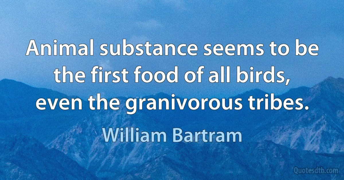 Animal substance seems to be the first food of all birds, even the granivorous tribes. (William Bartram)