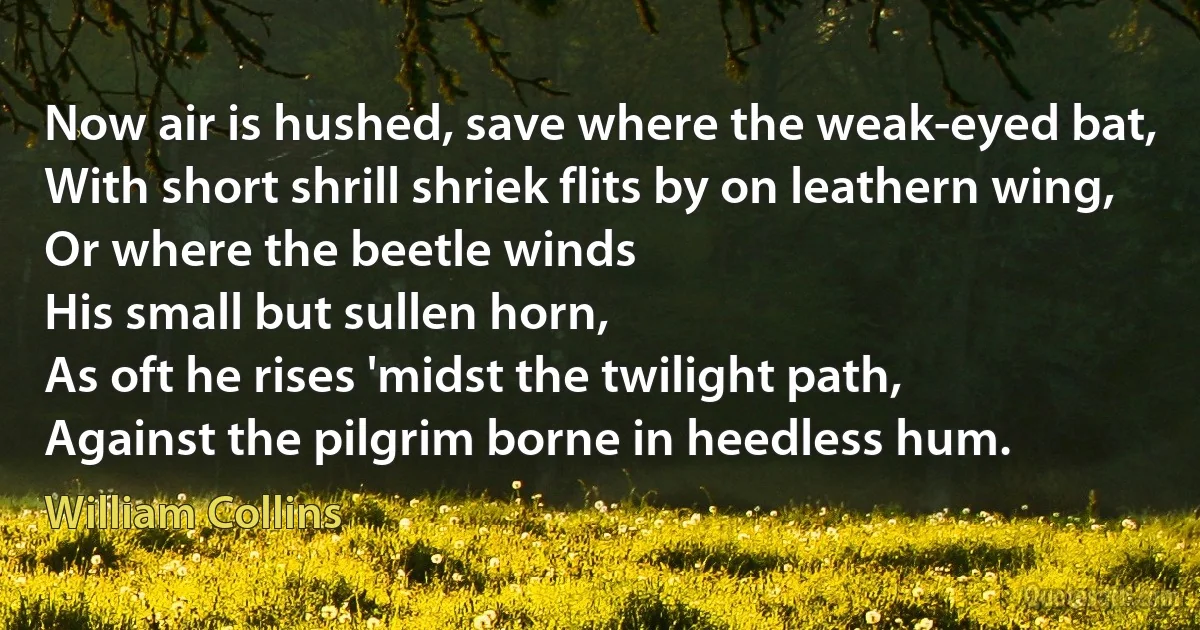 Now air is hushed, save where the weak-eyed bat,
With short shrill shriek flits by on leathern wing,
Or where the beetle winds
His small but sullen horn,
As oft he rises 'midst the twilight path,
Against the pilgrim borne in heedless hum. (William Collins)