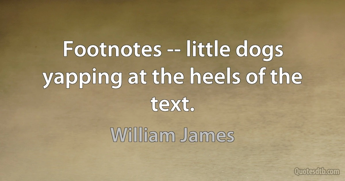 Footnotes -- little dogs yapping at the heels of the text. (William James)