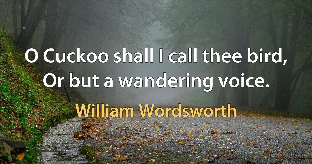 O Cuckoo shall I call thee bird, Or but a wandering voice. (William Wordsworth)