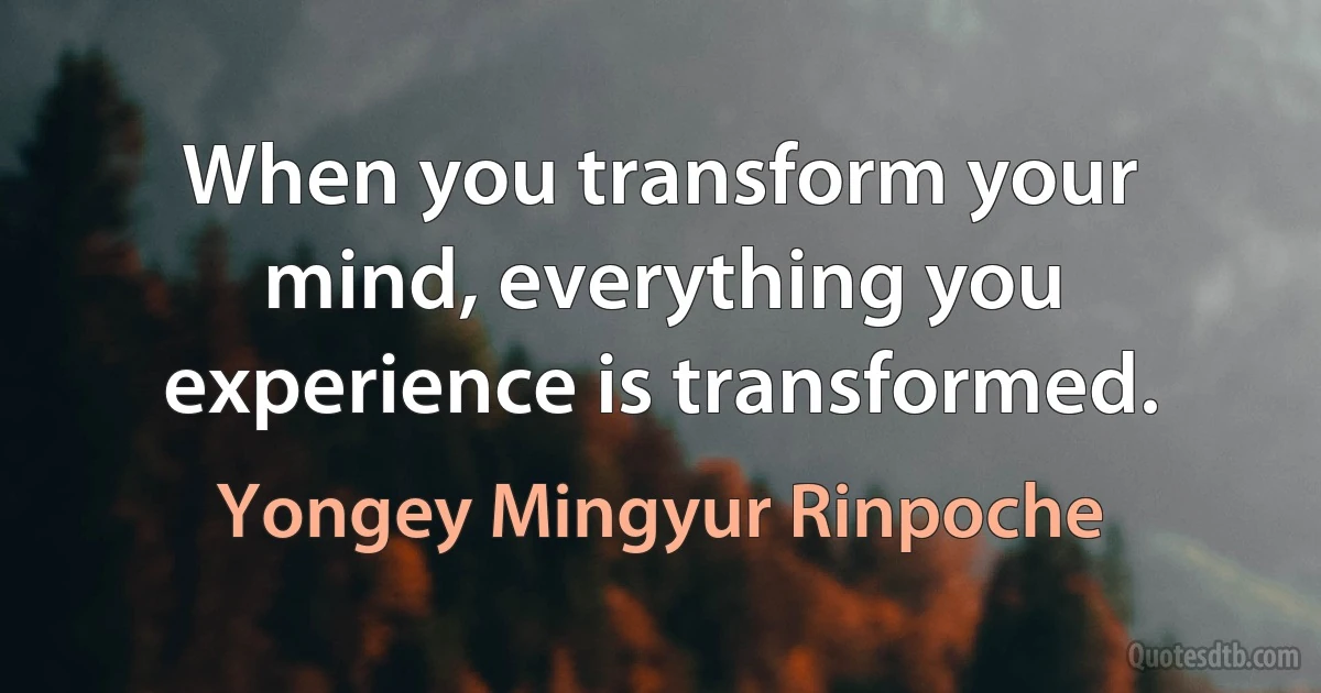 When you transform your mind, everything you experience is transformed. (Yongey Mingyur Rinpoche)