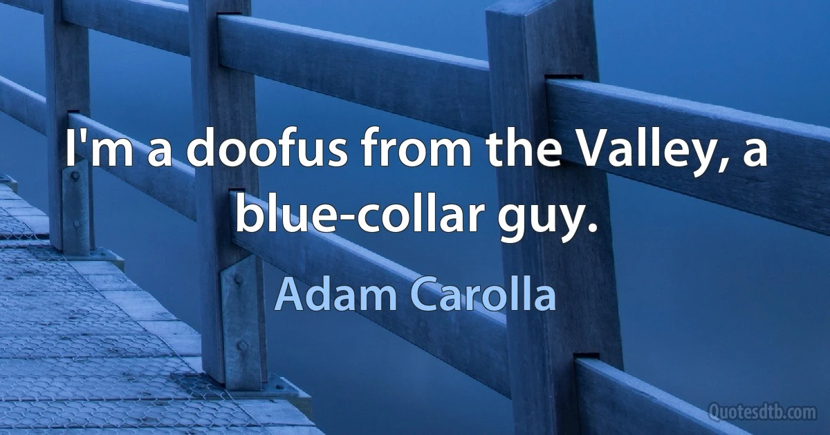 I'm a doofus from the Valley, a blue-collar guy. (Adam Carolla)