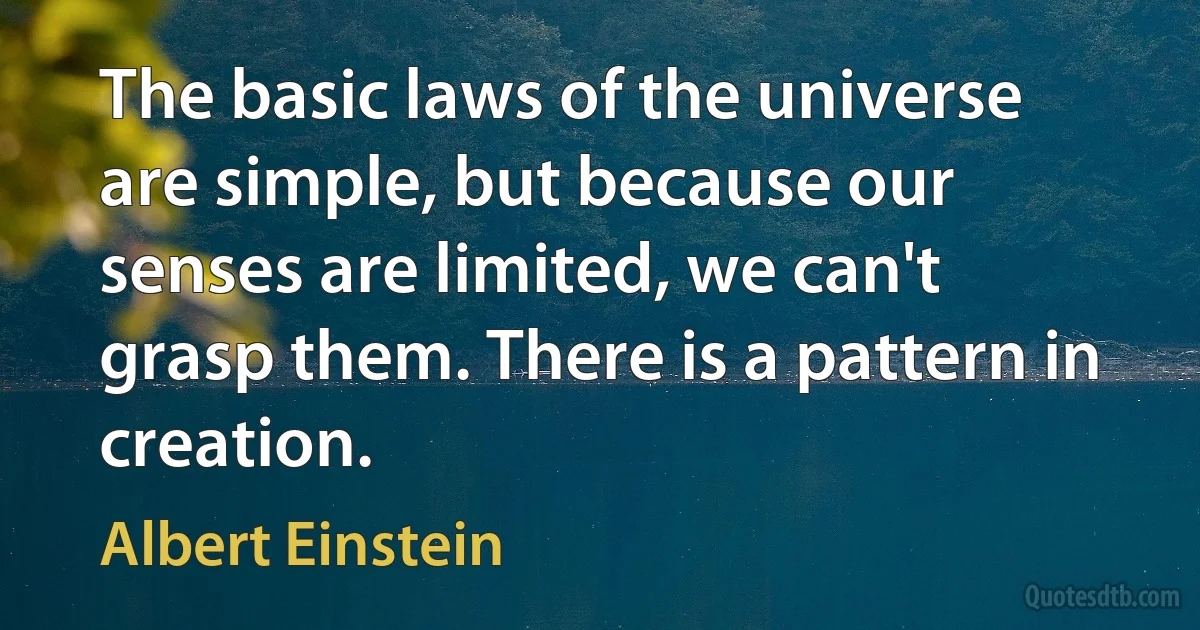 The basic laws of the universe are simple, but because our senses are limited, we can't grasp them. There is a pattern in creation. (Albert Einstein)