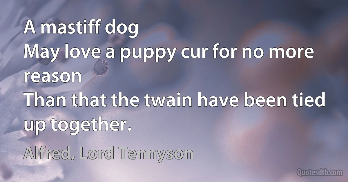 A mastiff dog
May love a puppy cur for no more reason
Than that the twain have been tied up together. (Alfred, Lord Tennyson)