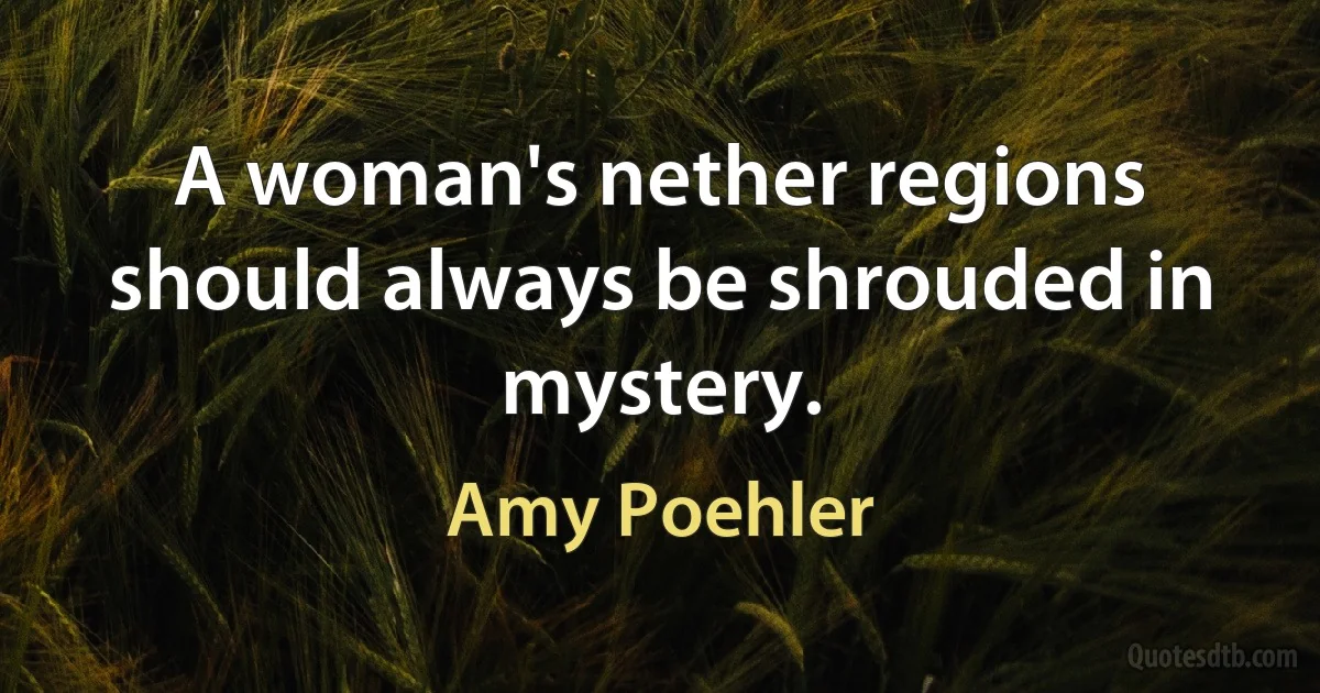 A woman's nether regions should always be shrouded in mystery. (Amy Poehler)