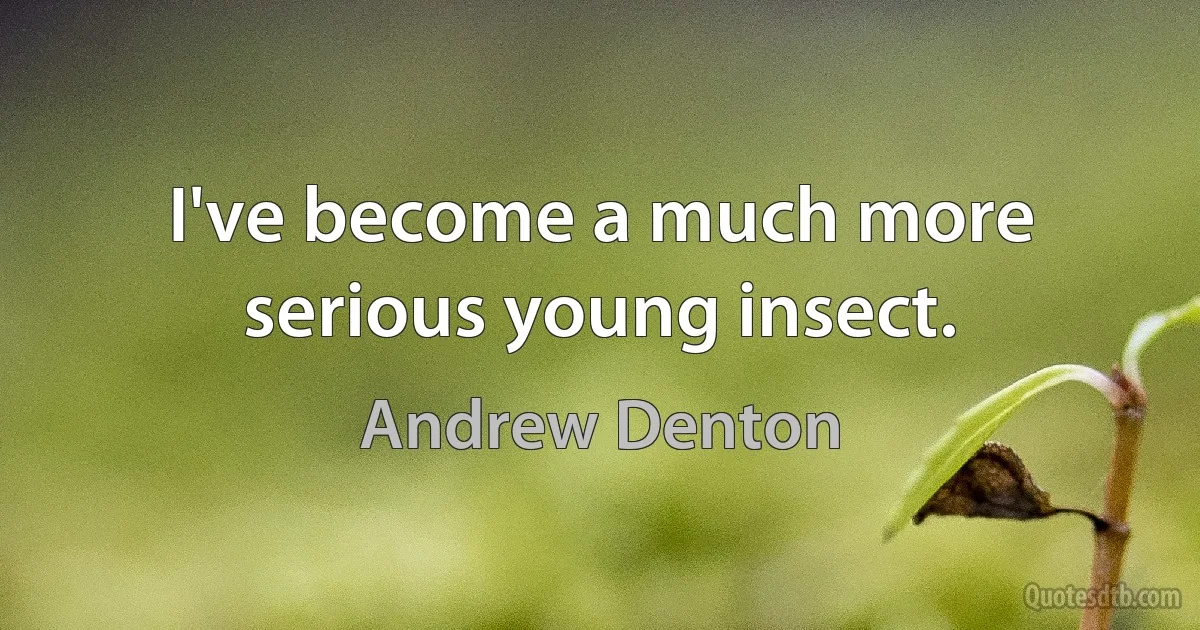 I've become a much more serious young insect. (Andrew Denton)