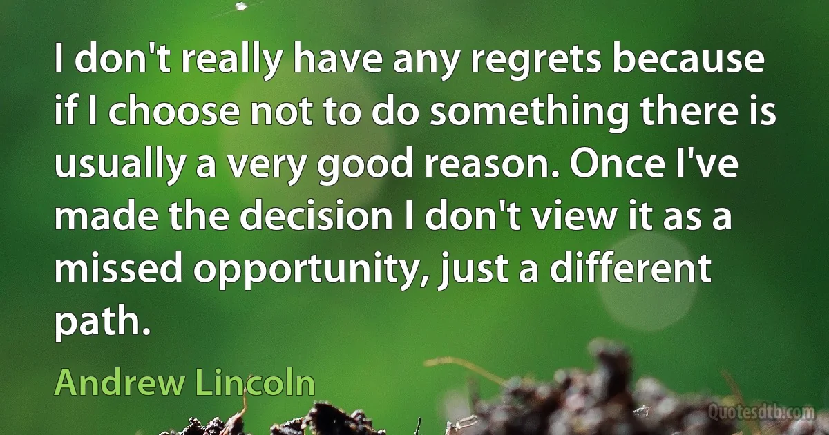 I don't really have any regrets because if I choose not to do something there is usually a very good reason. Once I've made the decision I don't view it as a missed opportunity, just a different path. (Andrew Lincoln)