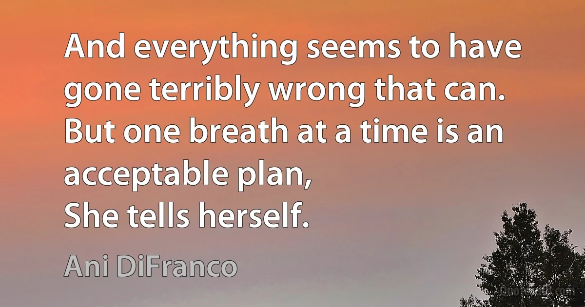 And everything seems to have gone terribly wrong that can.
But one breath at a time is an acceptable plan,
She tells herself. (Ani DiFranco)