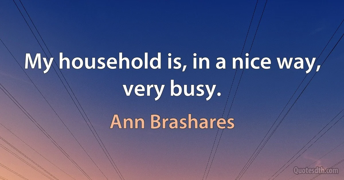 My household is, in a nice way, very busy. (Ann Brashares)