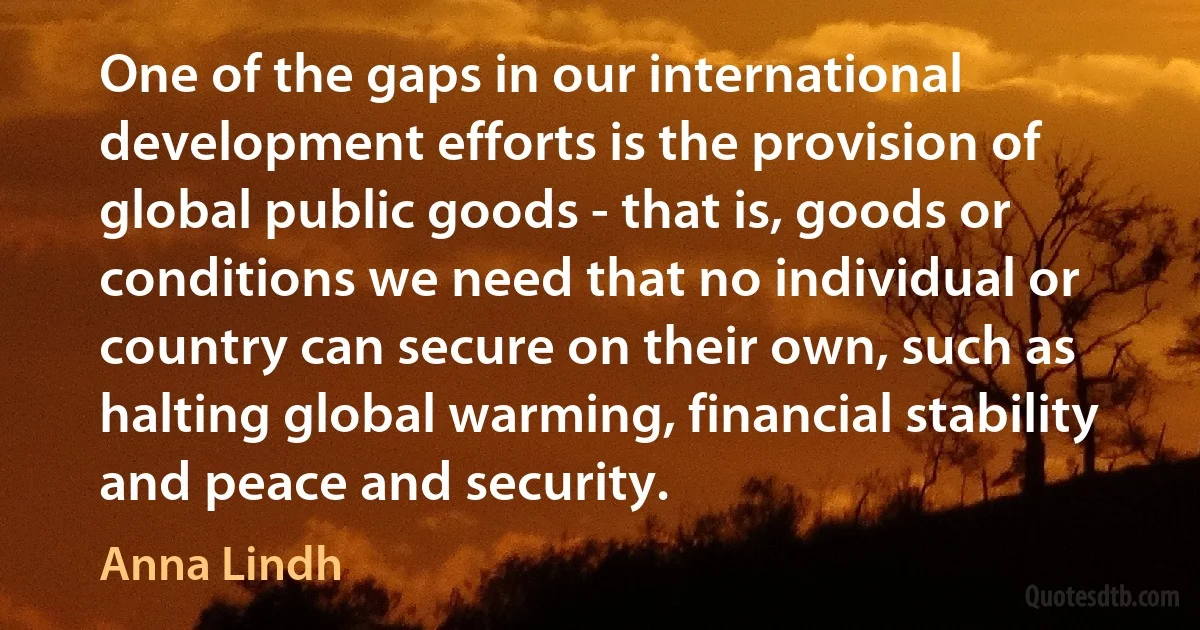 One of the gaps in our international development efforts is the provision of global public goods - that is, goods or conditions we need that no individual or country can secure on their own, such as halting global warming, financial stability and peace and security. (Anna Lindh)