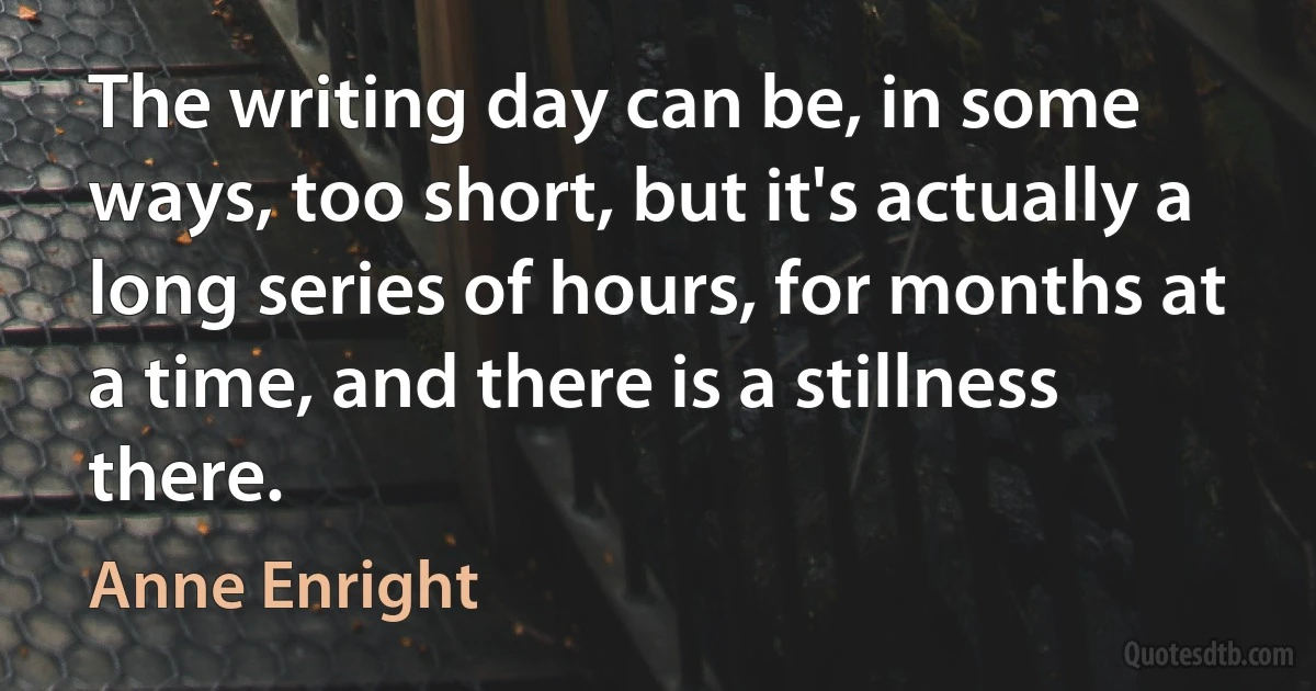 The writing day can be, in some ways, too short, but it's actually a long series of hours, for months at a time, and there is a stillness there. (Anne Enright)