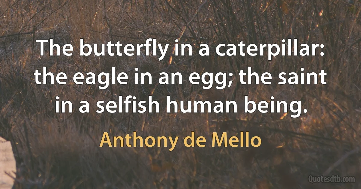 The butterfly in a caterpillar: the eagle in an egg; the saint in a selfish human being. (Anthony de Mello)