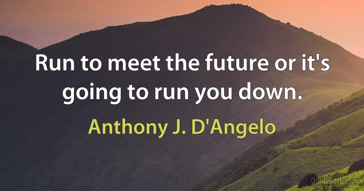 Run to meet the future or it's going to run you down. (Anthony J. D'Angelo)