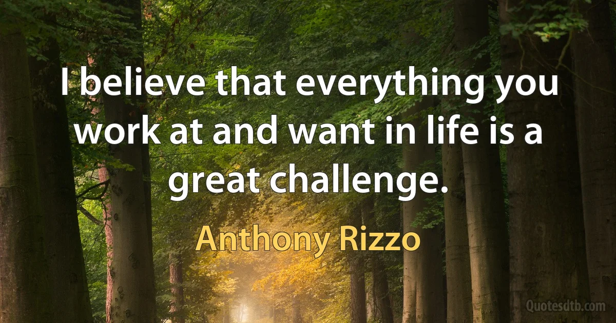 I believe that everything you work at and want in life is a great challenge. (Anthony Rizzo)