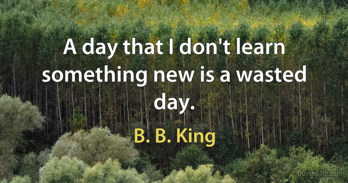 A day that I don't learn something new is a wasted day. (B. B. King)