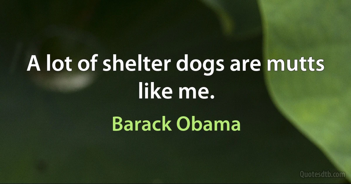 A lot of shelter dogs are mutts like me. (Barack Obama)