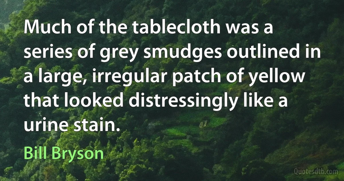 Much of the tablecloth was a series of grey smudges outlined in a large, irregular patch of yellow that looked distressingly like a urine stain. (Bill Bryson)