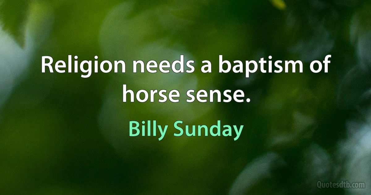 Religion needs a baptism of horse sense. (Billy Sunday)