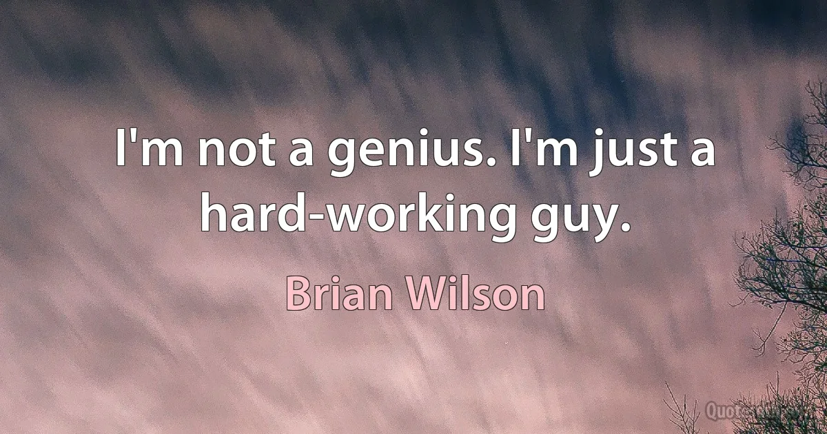 I'm not a genius. I'm just a hard-working guy. (Brian Wilson)