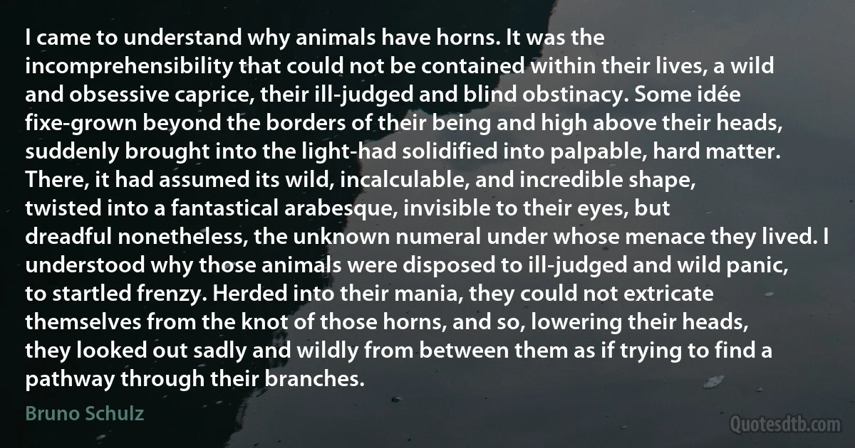 I came to understand why animals have horns. It was the incomprehensibility that could not be contained within their lives, a wild and obsessive caprice, their ill-judged and blind obstinacy. Some idée fixe-grown beyond the borders of their being and high above their heads, suddenly brought into the light-had solidified into palpable, hard matter. There, it had assumed its wild, incalculable, and incredible shape, twisted into a fantastical arabesque, invisible to their eyes, but dreadful nonetheless, the unknown numeral under whose menace they lived. I understood why those animals were disposed to ill-judged and wild panic, to startled frenzy. Herded into their mania, they could not extricate themselves from the knot of those horns, and so, lowering their heads, they looked out sadly and wildly from between them as if trying to find a pathway through their branches. (Bruno Schulz)