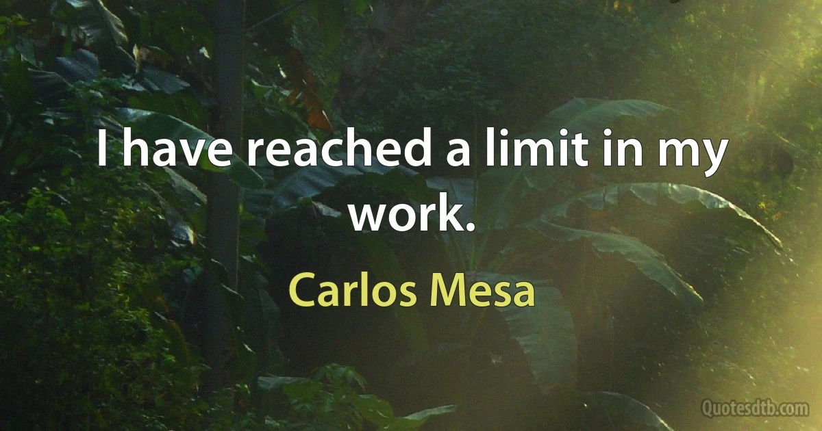 I have reached a limit in my work. (Carlos Mesa)