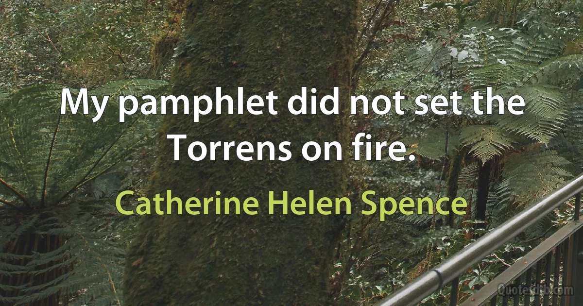 My pamphlet did not set the Torrens on fire. (Catherine Helen Spence)