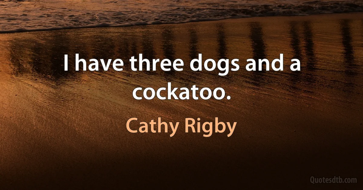 I have three dogs and a cockatoo. (Cathy Rigby)