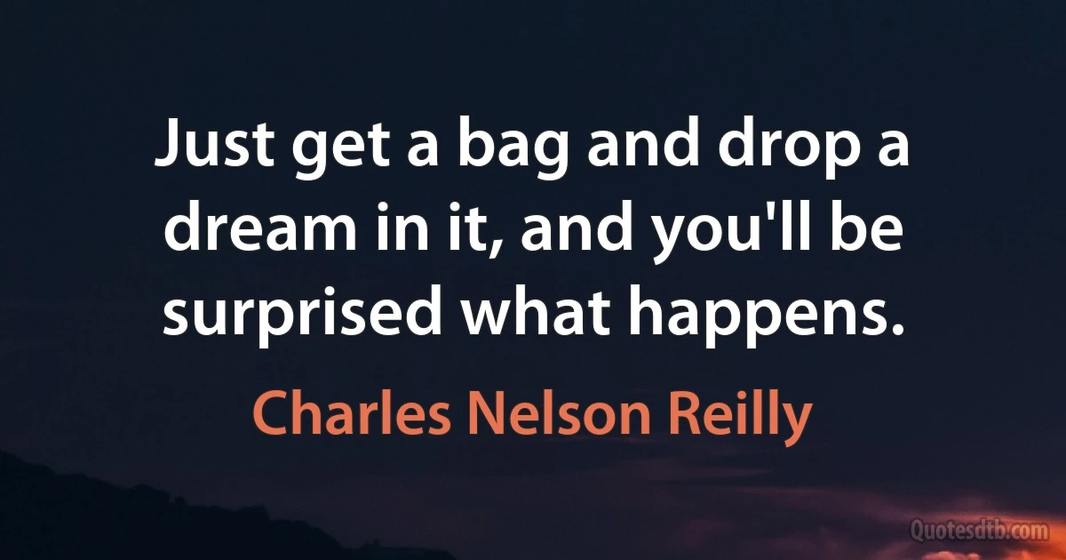 Just get a bag and drop a dream in it, and you'll be surprised what happens. (Charles Nelson Reilly)