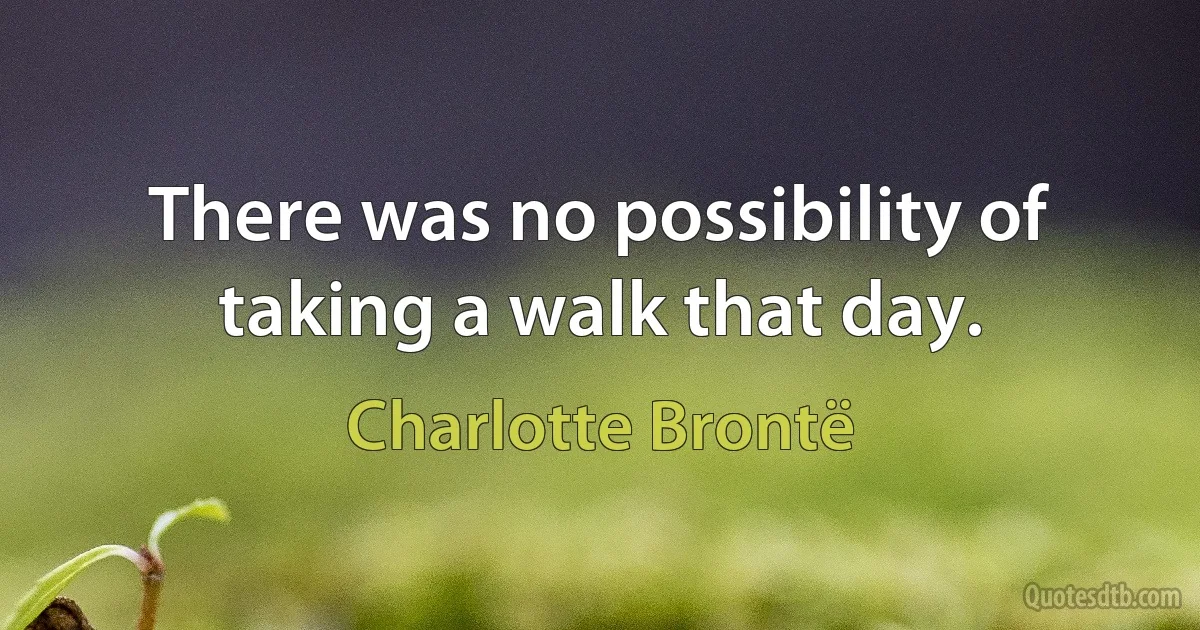 There was no possibility of taking a walk that day. (Charlotte Brontë)