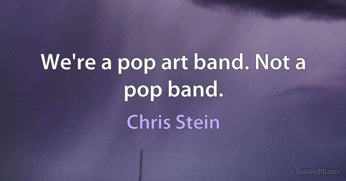 We're a pop art band. Not a pop band. (Chris Stein)