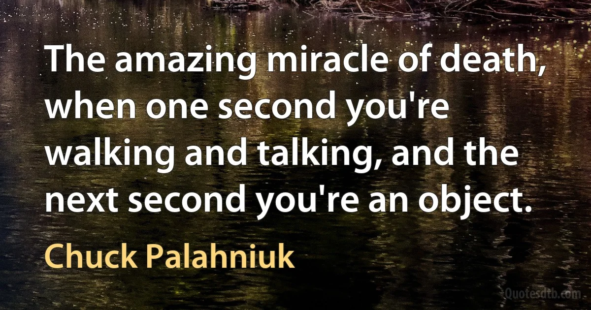 The amazing miracle of death, when one second you're walking and talking, and the next second you're an object. (Chuck Palahniuk)