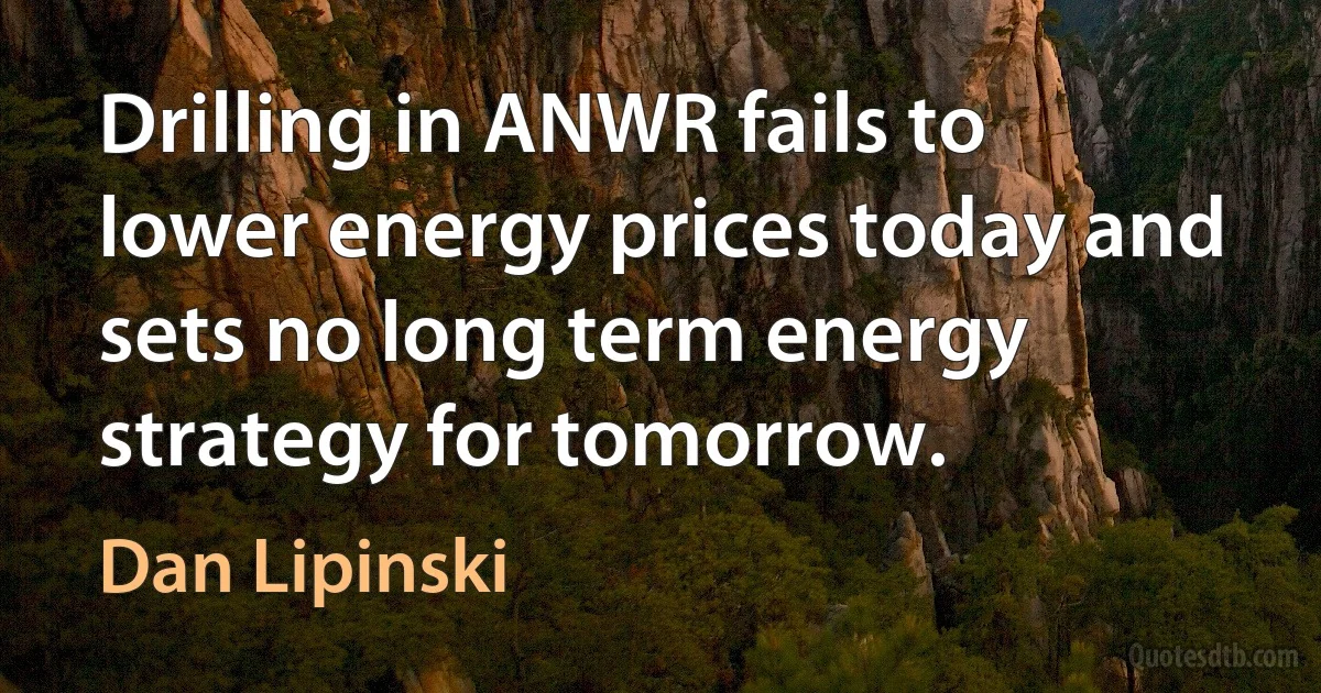 Drilling in ANWR fails to lower energy prices today and sets no long term energy strategy for tomorrow. (Dan Lipinski)