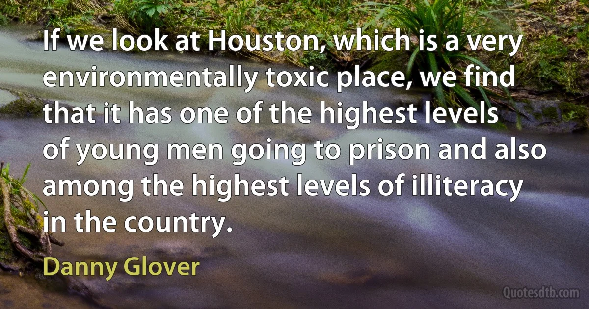 If we look at Houston, which is a very environmentally toxic place, we find that it has one of the highest levels of young men going to prison and also among the highest levels of illiteracy in the country. (Danny Glover)