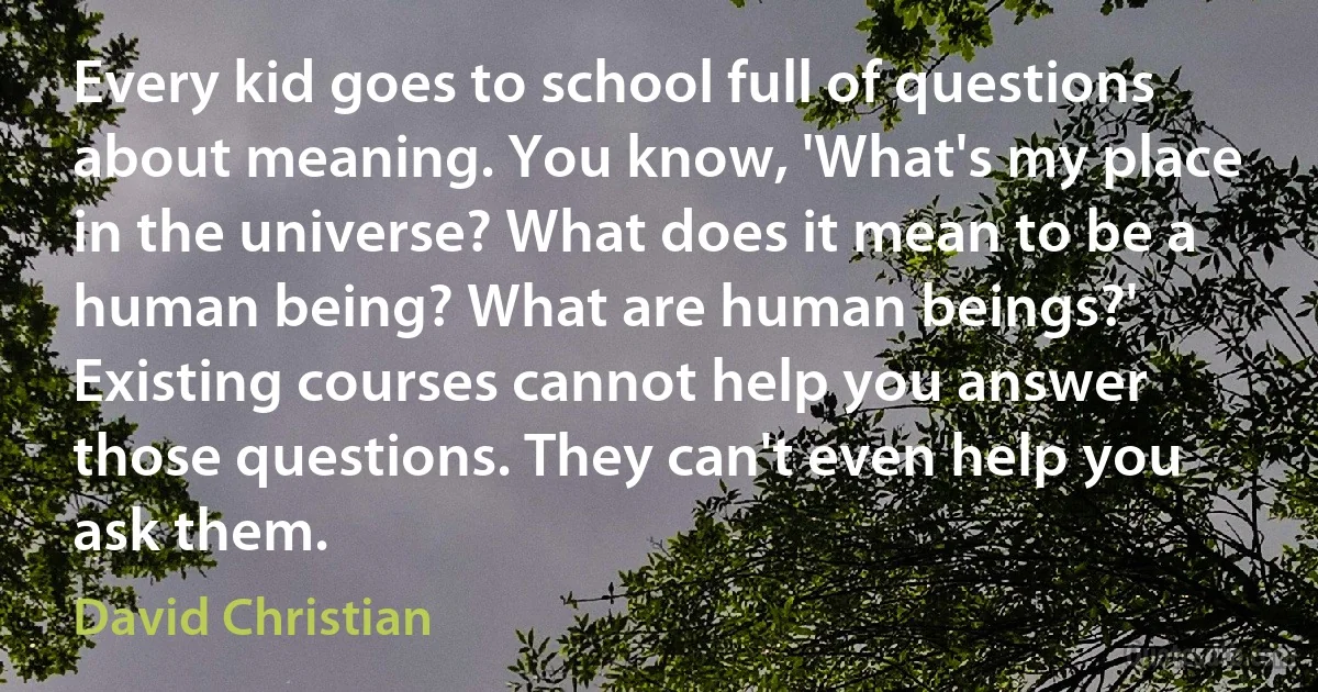 Every kid goes to school full of questions about meaning. You know, 'What's my place in the universe? What does it mean to be a human being? What are human beings?' Existing courses cannot help you answer those questions. They can't even help you ask them. (David Christian)