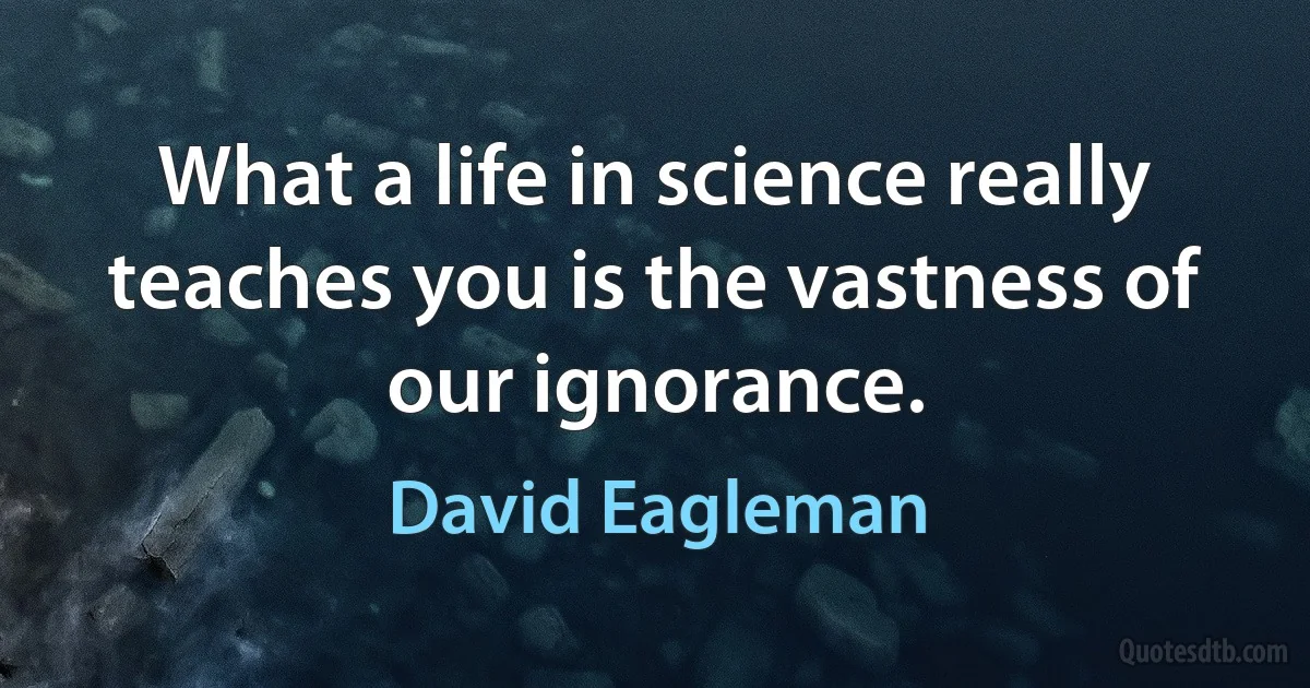 What a life in science really teaches you is the vastness of our ignorance. (David Eagleman)