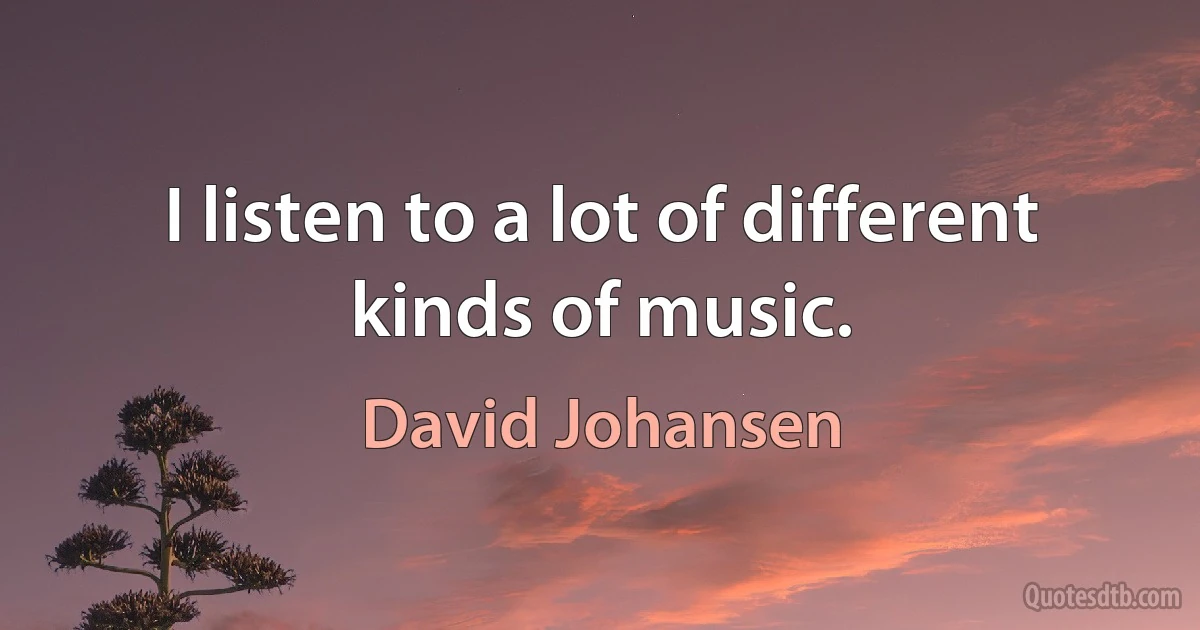 I listen to a lot of different kinds of music. (David Johansen)